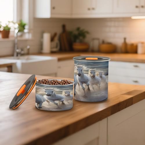 Contenedor de café hermético Blueangle acero inoxidable 30oz miniatura 6