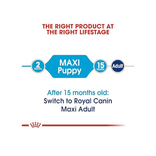 Image of Royal Canin Maxi Puppy Food, Dry Food, Supports Immune System & digestive health, Provides Long growth, moderate energy, 1 Kg