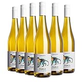 FairGrapes Grauburgunder »Pablo« Weißwein Trocken | 90 Punkte Falstaff | Best Buy | Aprikose & Birne | Vegan | Geschenkidee (6 x 0.75 l)