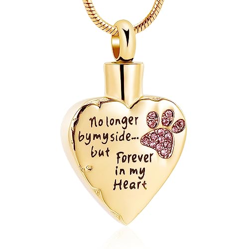 VCCWYQK Urn Necklace for Ashes Personalized Urn Pendant Heart Necklace Pets Paw Print Keepsake Waterproof Memorial Gifts for Dogs