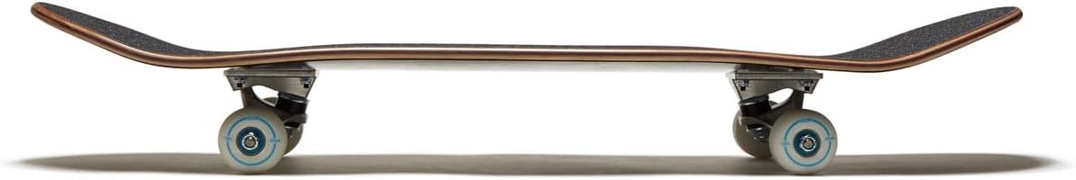 [CCS] Graphic Skateboard Complete | Maple Wood | Professional Grade | Fully Assembled with Skate Tool & Stickers | Adults, Kids, Teens, Youth | Boys & Girls