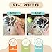 Natural Dog Company Pawtection Balm for Hot Pavement, Dry Cracked Dog Paws, and Rough Terrain - Safe, Non-Toxic, and Lick Safe - Protects Paws with Natural Ingredients, 1 oz Tin
