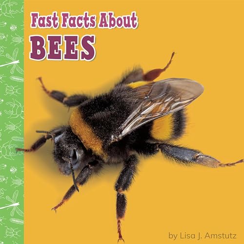 Fast Facts About Bees by Lisa J. Amstutz episode artwork