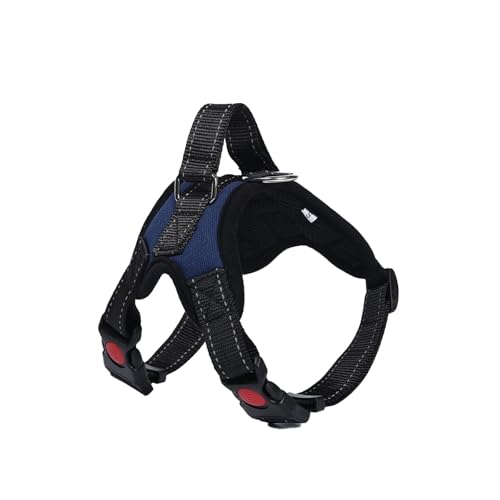 Correas Perros Pequeños Azul Marca OLEOJH