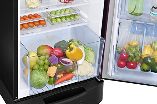 Image of Samsung 246L 3 Star Inverter Direct-Cool Single Door Refrigerator Appliance (RR26C3893CR /HL,Camellia Purple) Base Stand Drawer