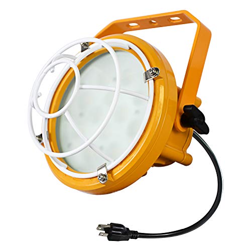 Up To 60% OFF Lawind LED Dock Light 30W Soft light Head Only, LED Security Area Light, Ultra Bright Yard Light 5000K, 350W Incandescent or 150W HID Light Equal, 5-Year Warranty, ETL Certified