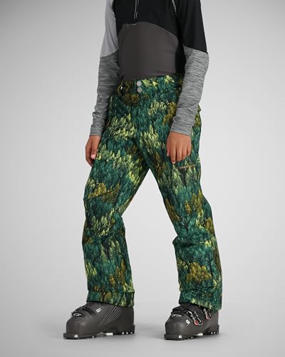 Obermeyer Teen Boys' Brisk Print Pant Backcountree L3