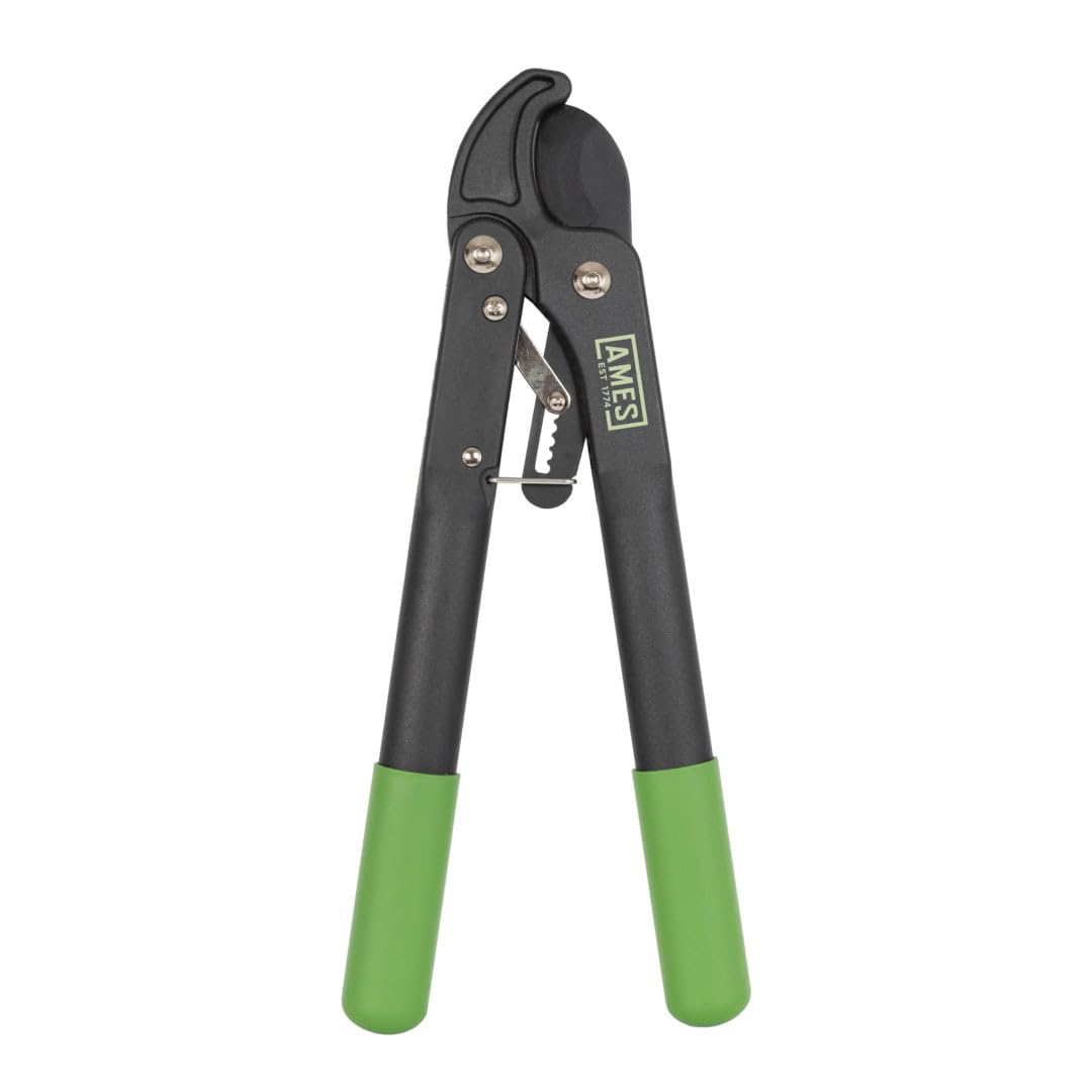 AMES Compact Ratchet Anvil Loppers – High-Power Loppers for Thick Branches
