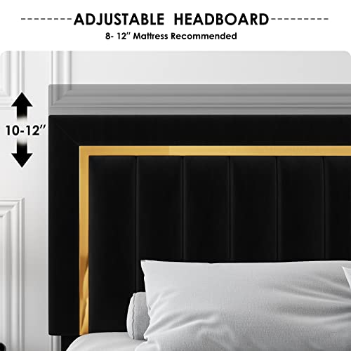 Hithos Queen Size Bed Frame With Adjustable Tufted Headboard, Velvet Upholstered Platform Bed Frame With Gold Trim, Heavy Duty Mattress Foundation With Steel Frame, Easy-Assembly Slats (Black, Queen) #TOP3