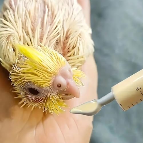 Vogelfutterspritzen-Set, 3 Stück, Baby-Vogel-Spritze, Futterspender mit Papageien-Futterröhre und Löffel, Messspritzen-Werkzeuge zum Füttern von Kleintieren, Kätzchen, Welpen (10ML 20ML 60ML B)