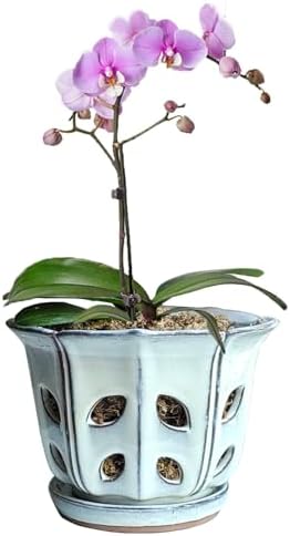 Orchid Pots with Holes 6 inch Ceramic Orchid Pot with Attached Sa...