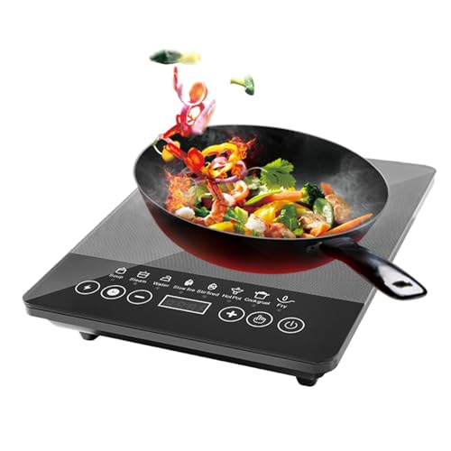 Placa de Inducción Portátil - Placa de Inducción Portátil 110V-220V | Electrodoméstico de Cocina para Cocinar en Casa, Dormitorio, Viajes, Exteriores, Apartamento y Comercio
