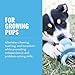 Paulchen Puppy Kong Binkie (S) 15900, 12 cm (farblich sortiert)