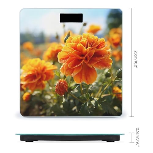Báscula digital baño diseño flores otoñales 400lb miniatura 2