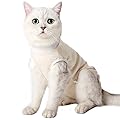 Dotoner Cat Professional Recovery Suit, Surgical Recovery Shirt for Abdominal Wounds Bandages Cone E-Collar Alternative for Cats After Surgery Medical Suit Soft Pets Clothing Indoor (M, Orange)