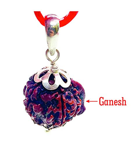 Image of Siddha Pure Ganesha Rudraksha, Laboratory Certified, Carefully Capped with Silver Between Nepalese Beads with Tassel, Size 16mm-22mm, Color-Brown (Ganesh Rudraksha Silver)