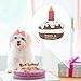Vossot Hund Geburtstagstorte Spielzeug Imagen de Vossot Hund Geburtstagstorte Spielzeug