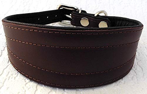 Greyhound Podenco Windhund - Halsband, Halsumfang 40-47 cm Leder °BRAUN°