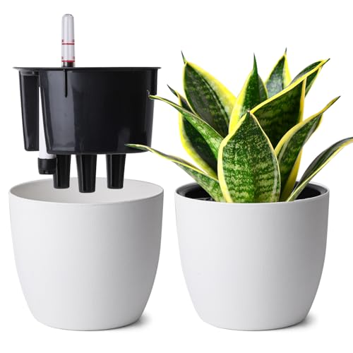 T4u Set De 2 Macetas Autorriego 15 Cm con Indicador Agua, Maceta Autorriego para Principiantes Y Ocupados, Macetas Decorativas Interior, Maceta para Pothos Y Monstera, Uso Interior Exterior (Blanco)