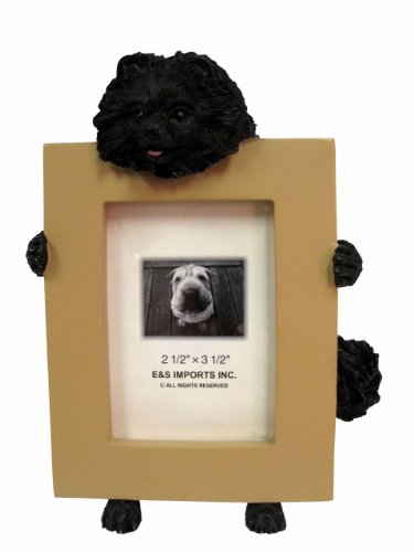 Black Pomeranian Picture Frame Holds Your Favorite 2.5 by 3.5 Inch Photo, Hand Painted Realistic Looking Pomeranian Stands 6 Inches Tall Holding Beautifully Crafted Frame, Unique and Special Pomeranian Gifts for Pomeranian Owners