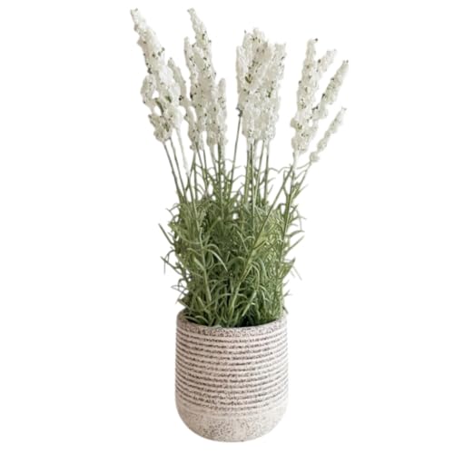Image of Garden Art Artificial Lavender Plant with Pot - Flocked Purple Lavender Flowers in Textured Pot, Perfect for Home Decor, Office Desk & Gift Use (P-0230White)