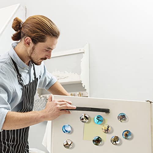 Imanes de dinosaurio para refrigerador de vidrio, 12 unidades miniatura 3