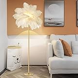 Photo Gallery lampada piume di struzzo, lampade terra per soggiorno con lampadina led a 3 temperature di colore, lampada terra con interruttore pedale per arredamento corne camera letto/divano, 1.6 m (white ) Photo Gallery lampada piume di struzzo, lampade terra per soggiorno con lampadina led a 3 temperature di colore, lampada terra con interruttore pedale per arredamento corne camera letto/divano, 1.6 m (white )