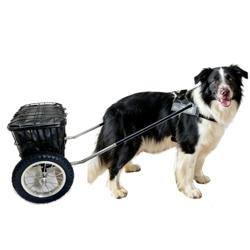 Dog Cart for Large Dogs, Heavy Duty Dog Pulling Wagon, Pet Trolley for Grocery, Delivery, Hiking, Fits Golden Retriever, Husky, Alaskan Malamute, Dog Exercise(Medium)