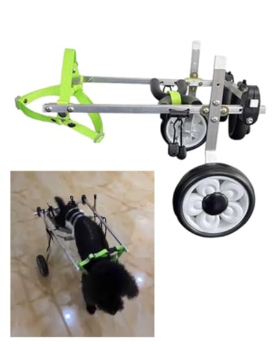 Fauteuil roulant pour chien handicapé réglable et léger en aluminium taille L