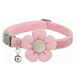 Service satisfait : nous vous offrons une garantie de 30 jours et le meilleur service après-vente. Si vous avez des questions sur notre collier pour chien XS, n'hésitez pas à nous contacter à tout moment.