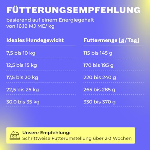 HEY HOLY Premium Trockenfutter für Bulldoggen 100% getreidefrei | 14kg hypoallergenes Hundefutter für ausgewachsene Bulldoggen mit Lachs | Hochverträglich aus natürlichen Zutaten