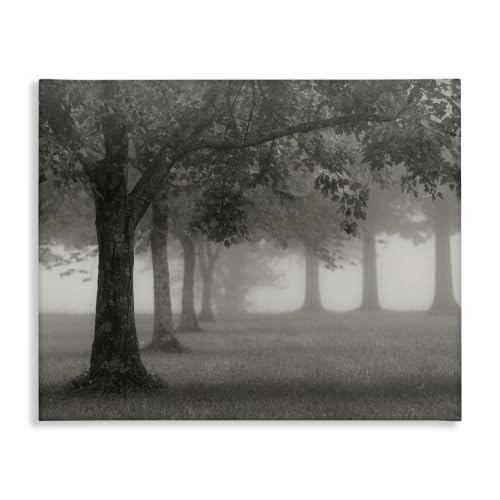 Foggy Trees Field Monochrome, 16 x 20 Inch Canvas Wall Art