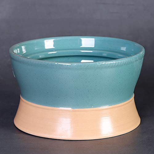 Indoor and Outdoor Flower Green Plant Planter Simple Green Cactus