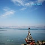  Palm Tree