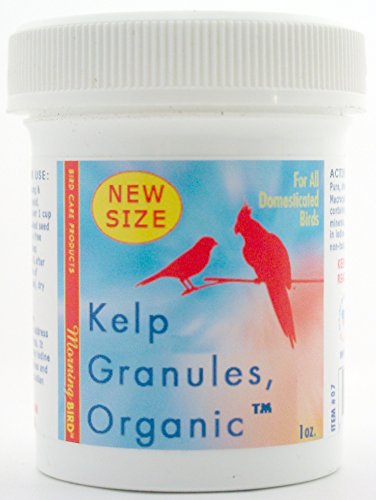 Morning Bird Kelp Granules, Nutritional Supplement for Birds (1 oz)