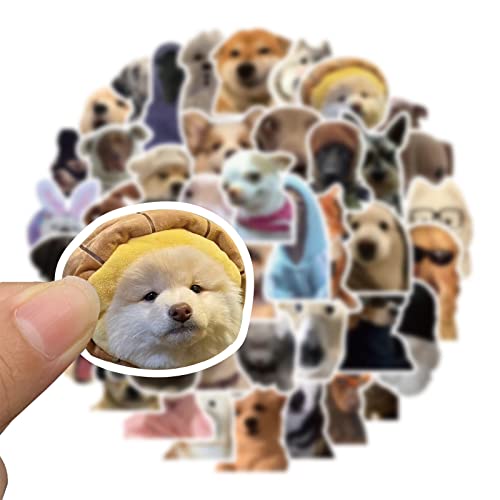 Funny Dog Meme Stickers for Adults, 50PCS Cute Dog Pet Waterproof Vinyl Stickers for Water Bottle Laptop Luggage Scrapbook Skateboard, Cool Puppy Animals Decals, Party Supplies