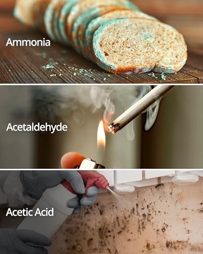 Coway Filter Pack for AP1512HH