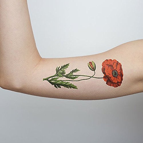 Secret Garden Parent