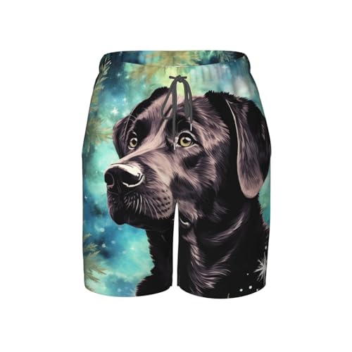 Boys Board Shorts Beach Swim Trunks Quick Dry Swimwear Kids Youth, Dog Weed Stars Art