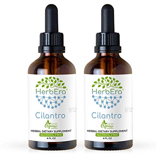 Cilantro B120 (2pcs) Alcohol-Free Herbal Extract Tincture, Super-Concentrated Organic Cilantro (Coriandrum Sativum) Dried Leaf (2x4 fl oz)