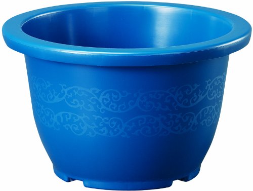 avX`bN E|bg  13 405×H240 u[