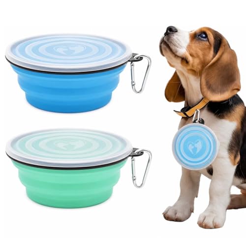 GNALIA Ciotola Portatile Per Cani In Silicone Pieghevole, 2 Pezzi Da Viaggio Con Moschettone, Per Cibo E Acqua, Capacità 350Ml, Colore Azzurro E Verde