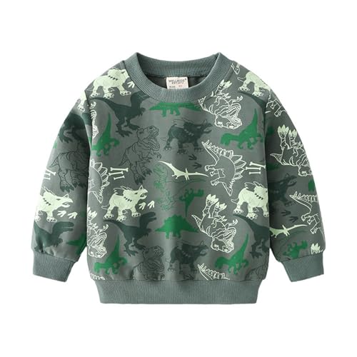 Toddler Baby Boys Dinosaur Graphic Sweatshirts Pullover Cotton Long Sleeve Crewneck Hooded Fall (Green, 3-4 Years)