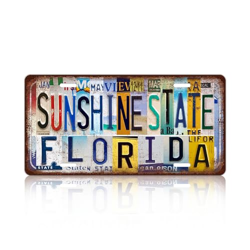 Vintage City License Plate Florida Sunshine State Wall Decor Metal