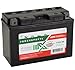 Interstate Batteries YT9B-BS 12V 8Ah Powersports Battery 115CCA AGM Rechargeable Replacement Battery for Yamaha, ATVs, Motorcycles, Scooters, Bikes (XT9B-BS)