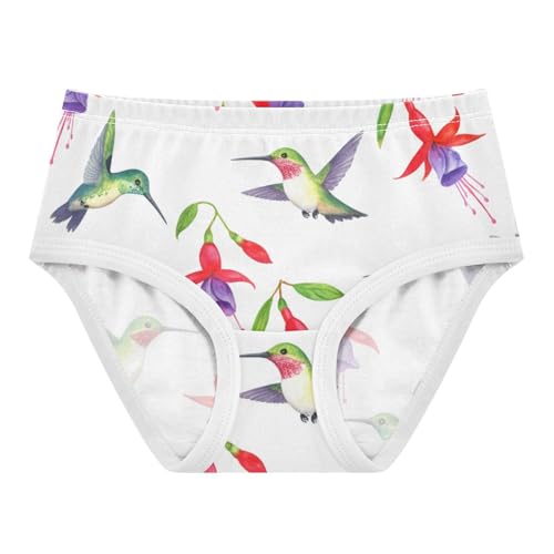Funny Toddler Girls Underwear 2t Cotton Panties for Girl Watercolor Hummingbirds Flowers White Underpants Briefs