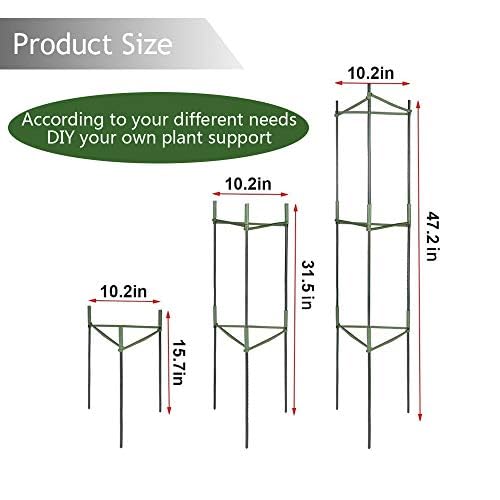 Groei En Bloei Van Komkommers In De Tuin. De Komkommers Van De Struik Op Trellis Verticale Beplanting Met Bush Trellade Komen Dicht Biologische Landbouw Image239882741