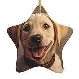 Calidad prémium: nuestros bonitos adornos de cerámica con estampado de perro labrador están finamente hechos. Y los colores de la decoración del hogar son vivos, dando un fuerte impacto visual