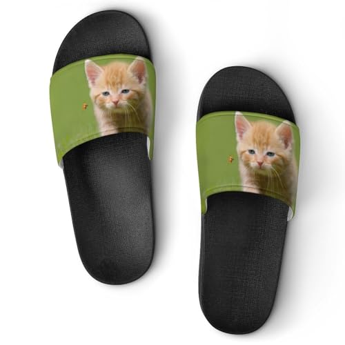 Sandales chaussons de maison slide claquettes femme chat pour votre quotidien