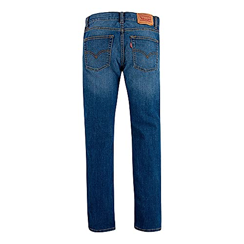 Levi's Boy's Lvb 510 Skinny Fit Jean 9ea211 Jeans